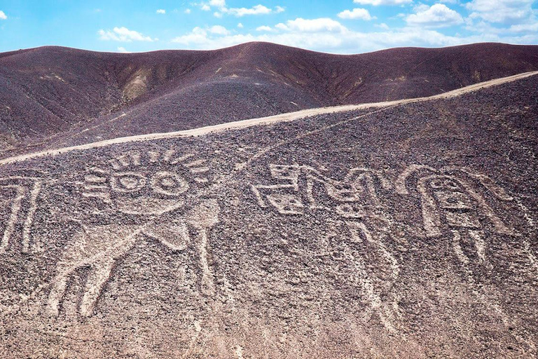 Da Nazca: Casa Museo Maria Reiche e tour della Panamericana