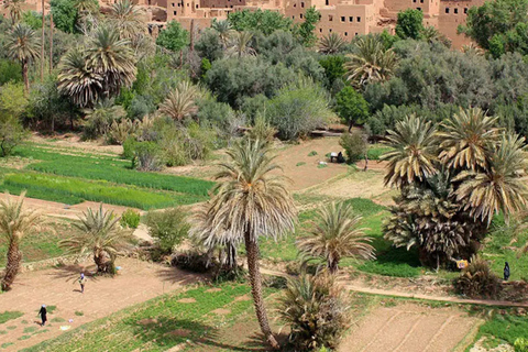 From Marrakech: 3-Day Merzouga Tour with Camel Trek & Luxury Camp Shared Standard Sahara Tour – Popular Choice