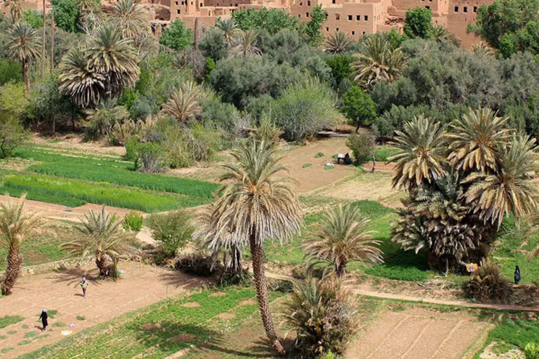 From Marrakech: 3-Day Merzouga Tour with Camel Trek & Luxury Camp Shared Standard Sahara Tour – Popular Choice