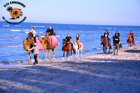 DJERBA: KAMEEL EN PAARD (2U30).