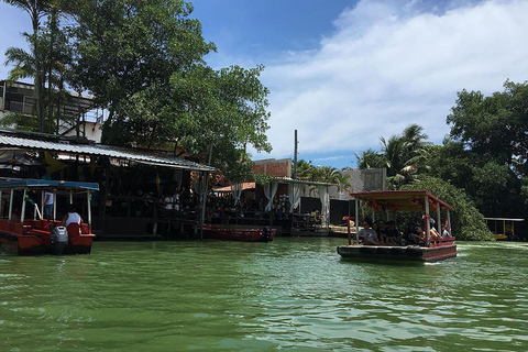 Rio de Janeiro: Ilha da Gigóia Canals and Wildlife Tour