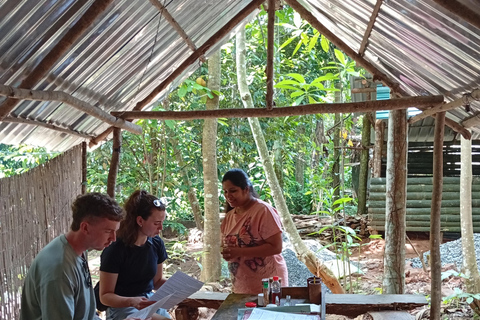 康提：香料园和手工艺人工作室嘟嘟车之旅