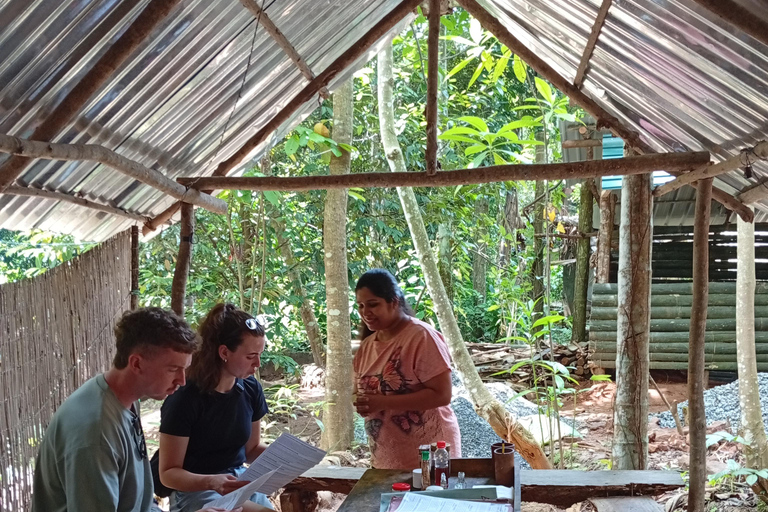 康提：香料园和手工艺人工作室嘟嘟车之旅