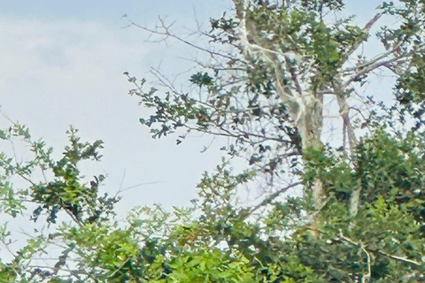 2 Day Lake Mburo Safari: Wildlife, Cycling, & Boat Ride