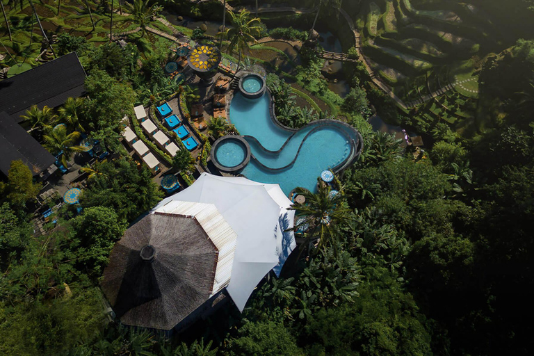Ubud: Monkey Forest, Cretya Pool & Zipline Shared Tour Private Tour with Hotel Transfer - No Tickets