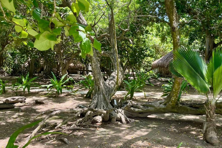 Tour di un giorno delle Isole Rosario