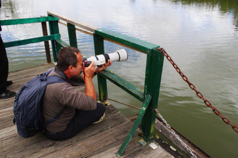 Birdwatching in Bogotá wetlands with Bakata Pajarera