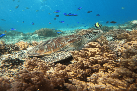 Lombok: 3 Secret Gili Snorkeling Trip & Traditional Heritage