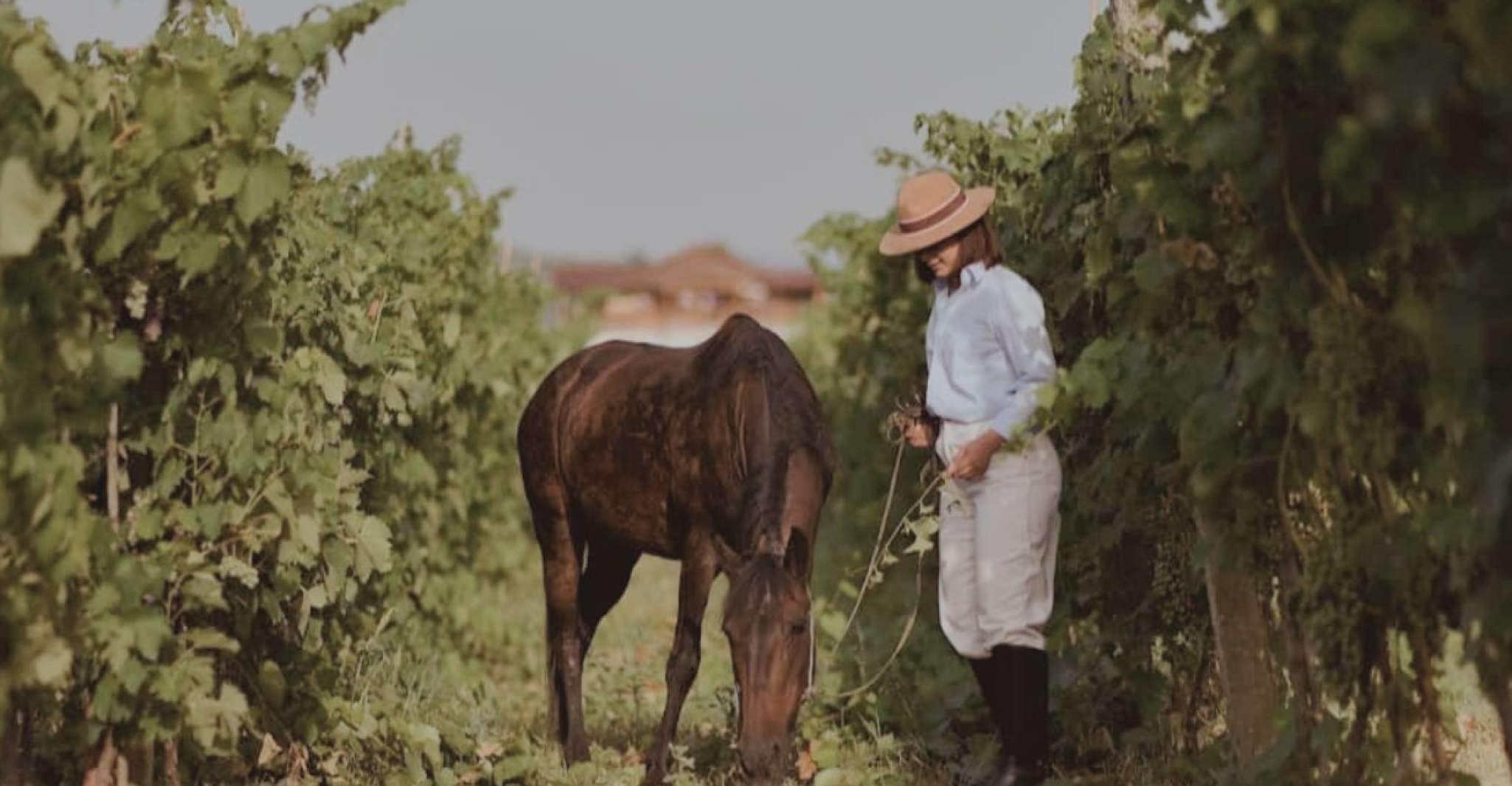 Vino & Vista, Berat's Wine Journey and Cultural Heritage - Housity