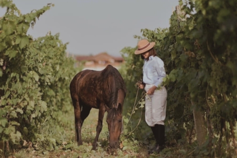 Vino & Vista: Berats Weinreise und Kulturerbe