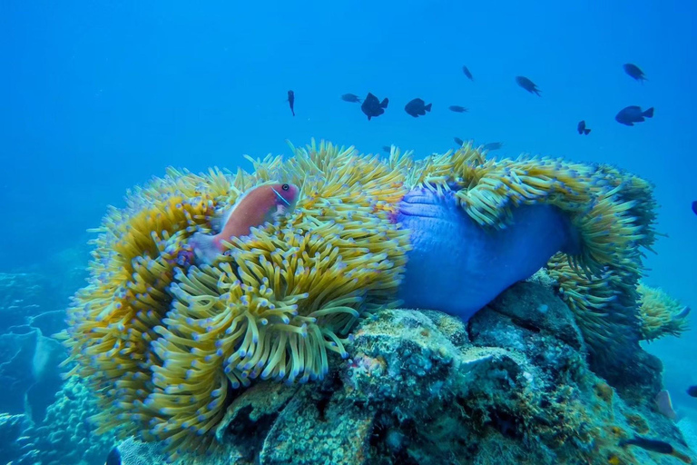 Z Koh Chang: 4 wyspy Snorkel &amp; Beach Tour dużą łodziąRejs wycieczkowy na 4 wyspy: Z transferem do hotelu