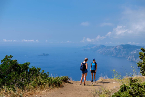 Vanuit Sorrento: Pad van de Goden Wandelen &amp; Transfer met gids