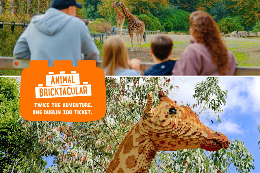Dubliner Zoo: Eintrittskarte für ein wildes Erlebnis mit über 400 Tieren. Foto: GetYourGuide Dubliner Zoo: Eintrittskarte für ein wildes Erlebnis mit über 400 Tieren. Foto: GetYourGuide