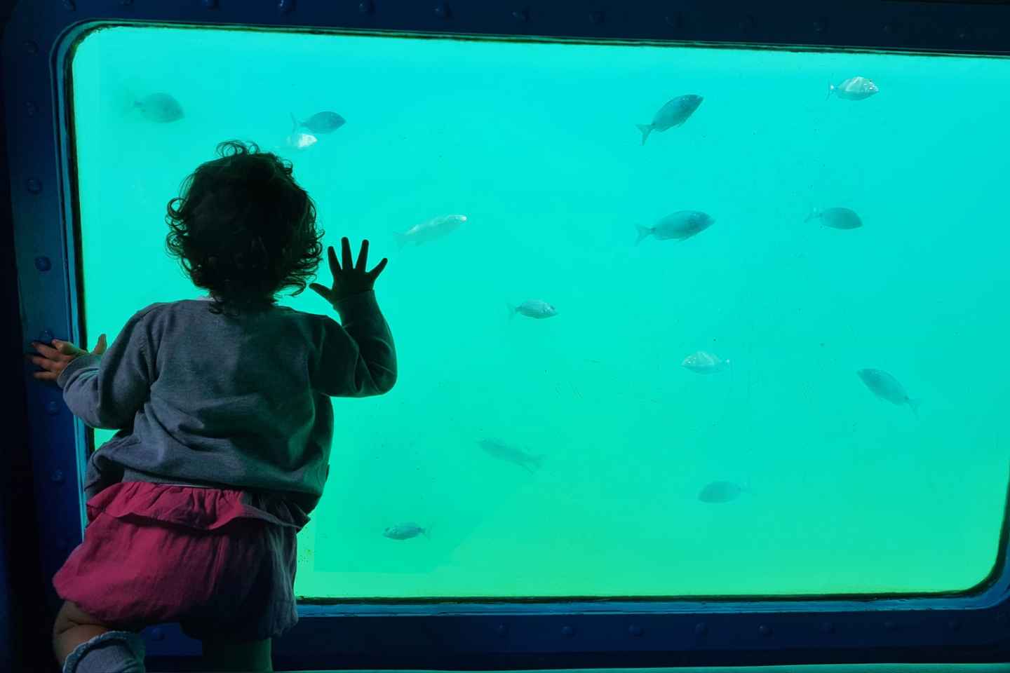 Sesimbra: Family Friendly Boat Sea Tour w/ Submarine Vision