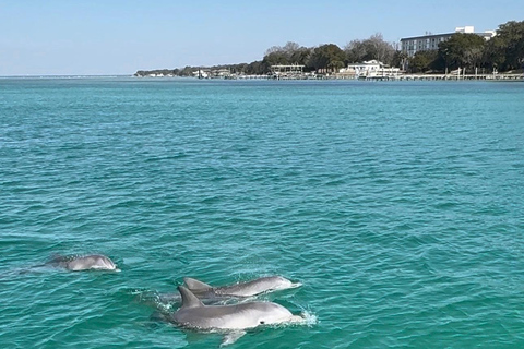 Destin: Destin Dolphin Harbor & Bay Boat Tour