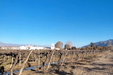 Depuis Salta : Cafayate, terre de vins et de ravins imposantsSalta : Cafayate, terre de vins.