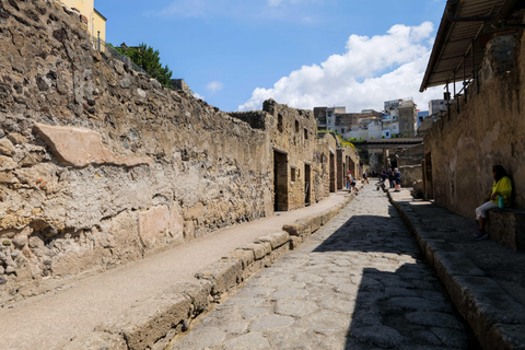 Discover Herculaneum: Guided tour in English of the ancient Roman city Guided tour in English with return train ticket from Naples