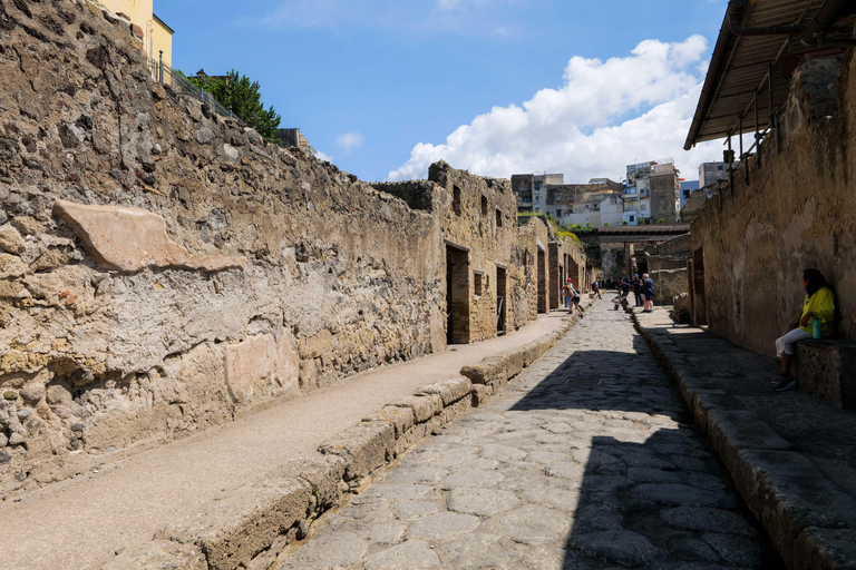 Discover Herculaneum: Guided tour in English of the ancient Roman city Guided tour in English with return train ticket from Naples