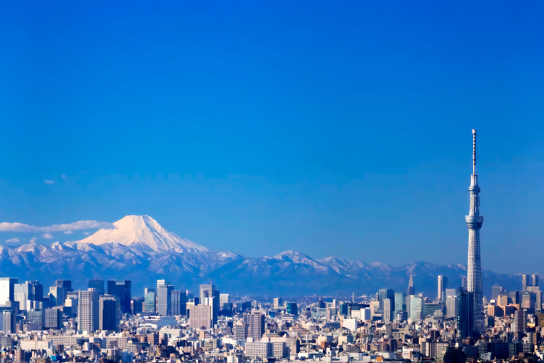 Tokyo Tour:Viral Instagram & TikTok Highlights by Luxury Car