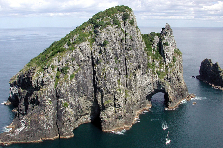 Da Auckland: Tour e crociera di 2 giorni nella Baia delle Isole