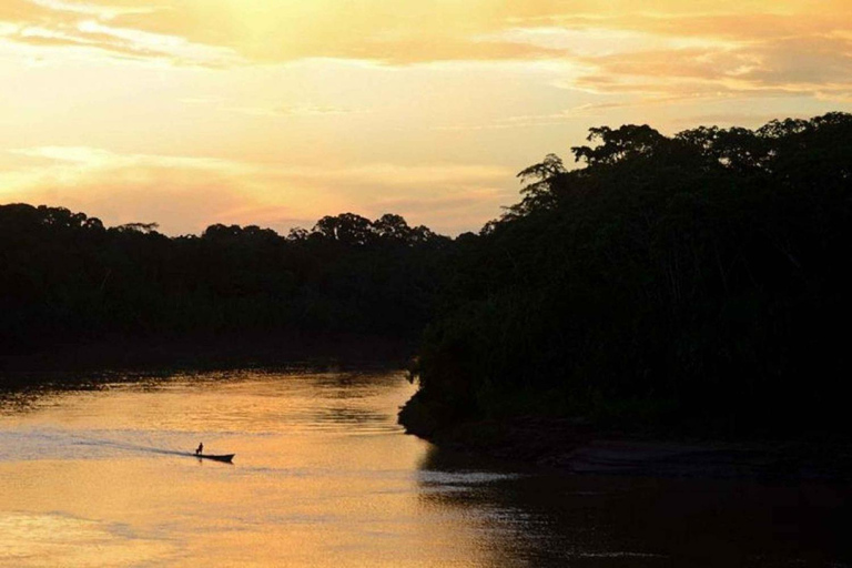 Nachtexkursion Suche nach Alligatoren | Tambopata Fluss