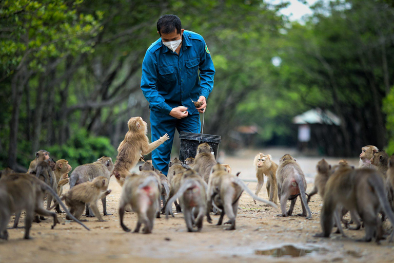 Monkey Island + Can Gio Mangrove Forest - Shared Tour Mangrove Forest