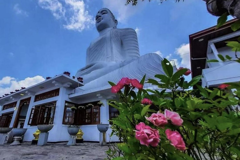 Kandy: Full-Day Tour with Historical Cultures