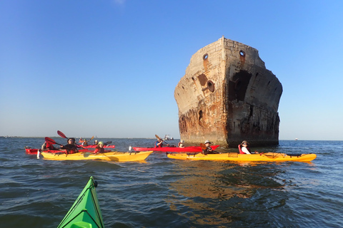 SS Selma Concreate Shipwreck | Historical WWI Landmark