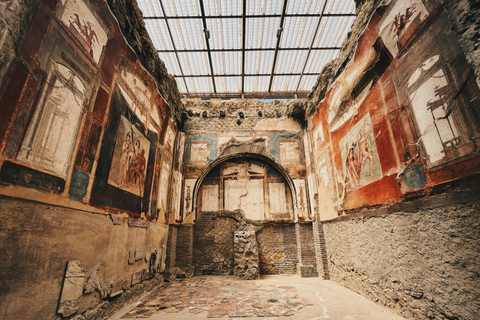 Naples: Herculaneum Skip-the-Line Guided Tour and Transfer