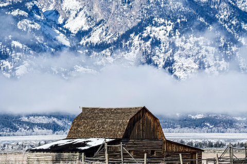 Grand Teton National Park: Full-Day Wildlife Tour with Lunch