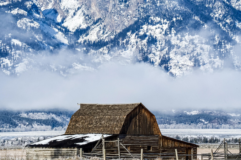 Grand Teton National Park: Full-Day Wildlife Tour with Lunch