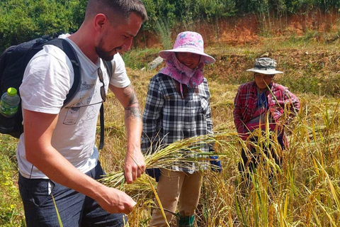 Chiang Mai: Jungle Trek, Elephants care & Bamboo Rafting