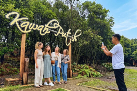 Jakarta: White Crater, Sky Bridge & Hot Springs Premium Tour Bandung: White Crater, Bridge & Hot Springs Tour