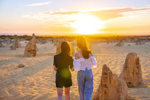 Pinnacles Sunset & Stargazing Private Tour with Lobster Meal