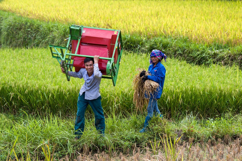 Mu Cang Chai 2 Days Tour Trekking Terraced Rice Field