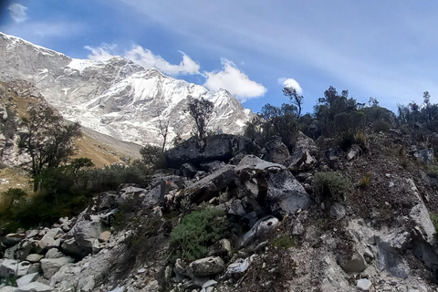 Laguna Rocutuyoc and Honkopampa Ruins Private Service