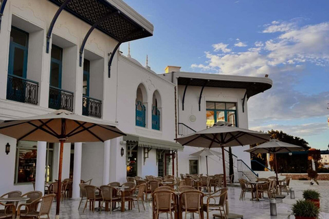 Djerba Explore: Crocodile Park & Lalla Hadria Museum Tour