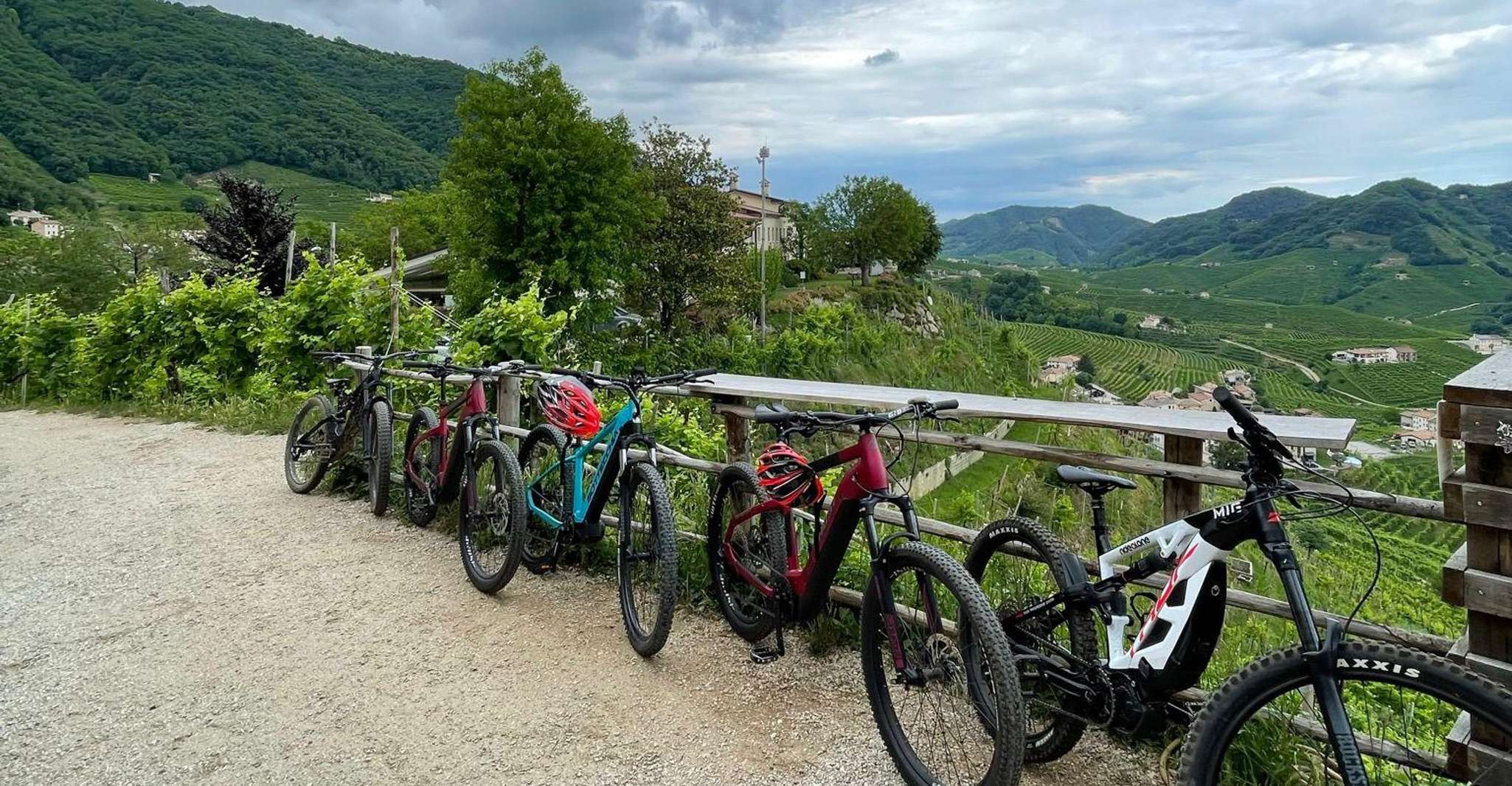 Valdobbiadene Hills, E-bike Tour with Food&Wine Tasting - Housity