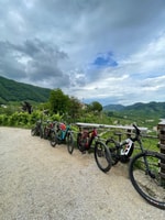 Valdobbiadene Hills, e-bike tour met eten en wijnproeverij - Housity