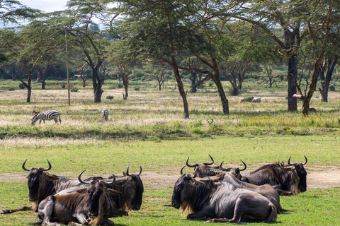 Vanuit Nairobi: Tocht door Hell's Gate National Park &amp; Lake Naivasha