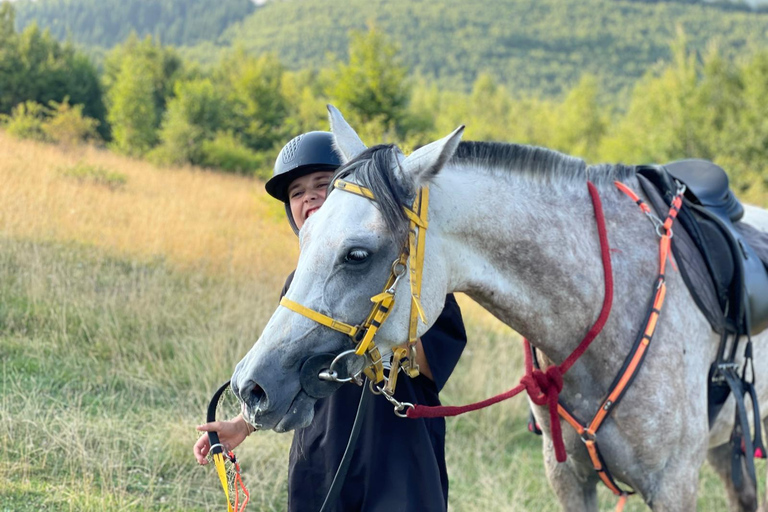 Muscel: The Hidden Trails: Full-Day Horseback Exploration