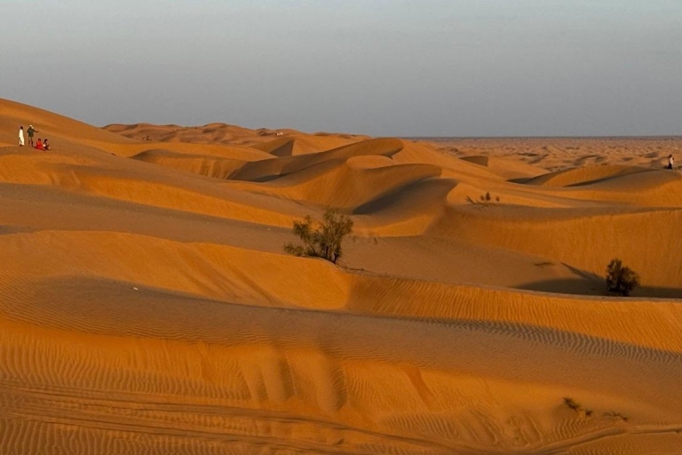 Magia złotej godziny: Rub' Al Khali Desert Sunset TourMagia złotej godziny: Wycieczka o zachodzie słońca na pustyni