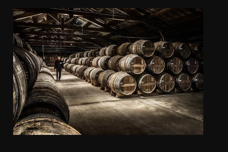 Rémy Martin Discover the production site by train Rémy Martin Découverte en train du site d'élaboration