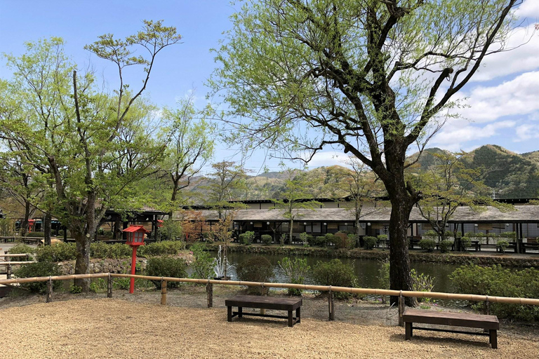 L&#039;aventure d&#039;élite de Nikko : Visite guidée privée