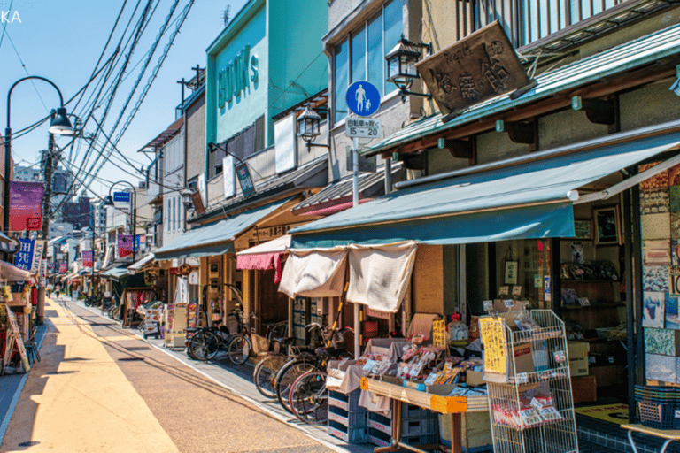 طوكيو في أي مكان تريد! جولة مخصصة في طوكيو في 3 ساعات