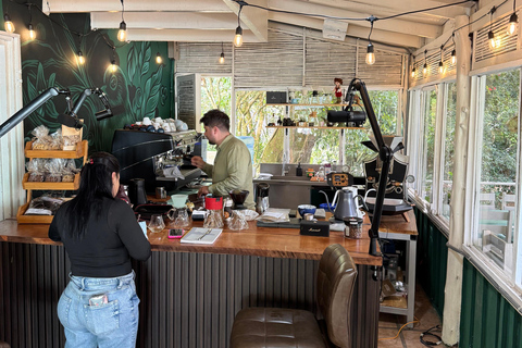 San Jose: Specialty Coffee Tasting & Brewing Experience