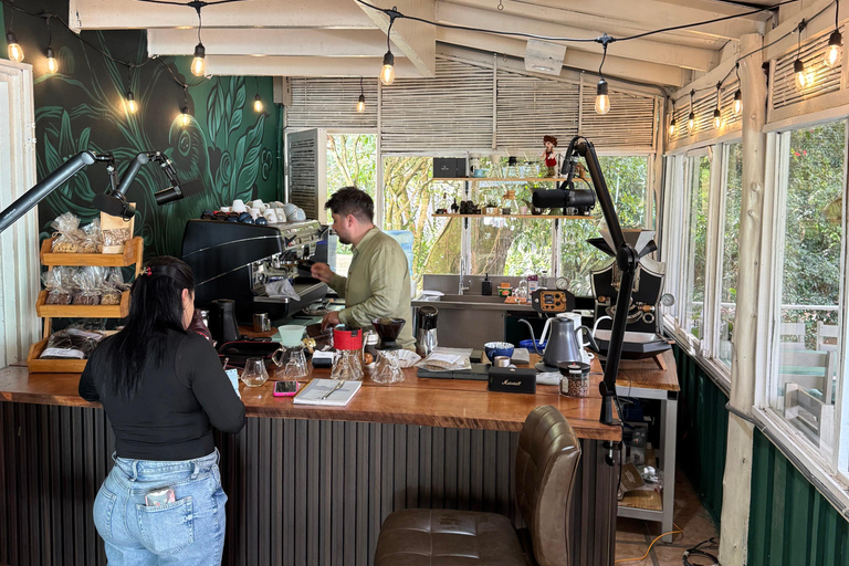 San Jose: Specialty Coffee Tasting & Brewing Experience