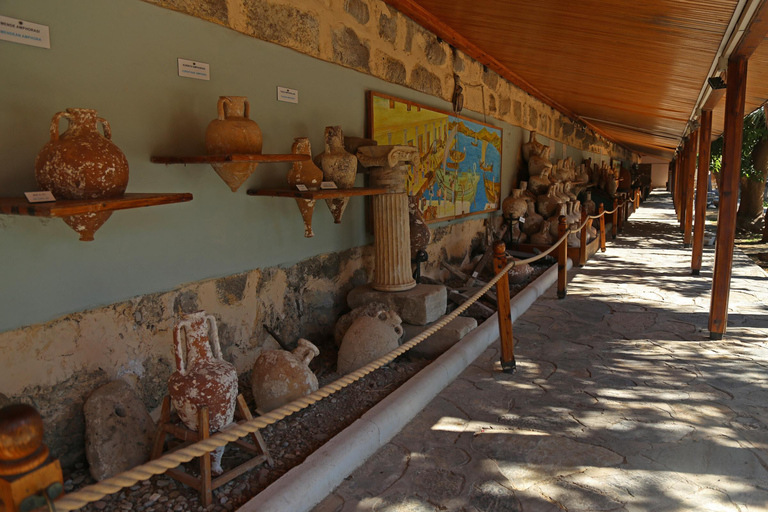 Bodrum port: Guided City Tour with Castle & Mausoleum Visit