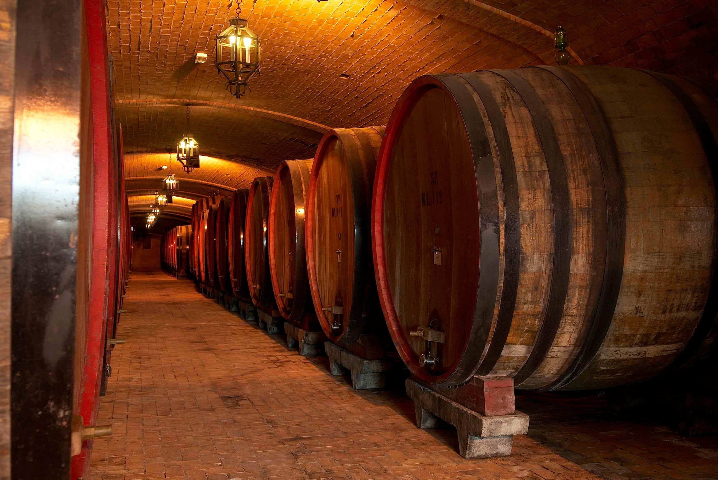 Weintour & Verkostung TOSKANA