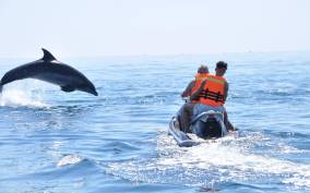 Djerba: Jet Ski and Boat Dolphin Watching Excursions